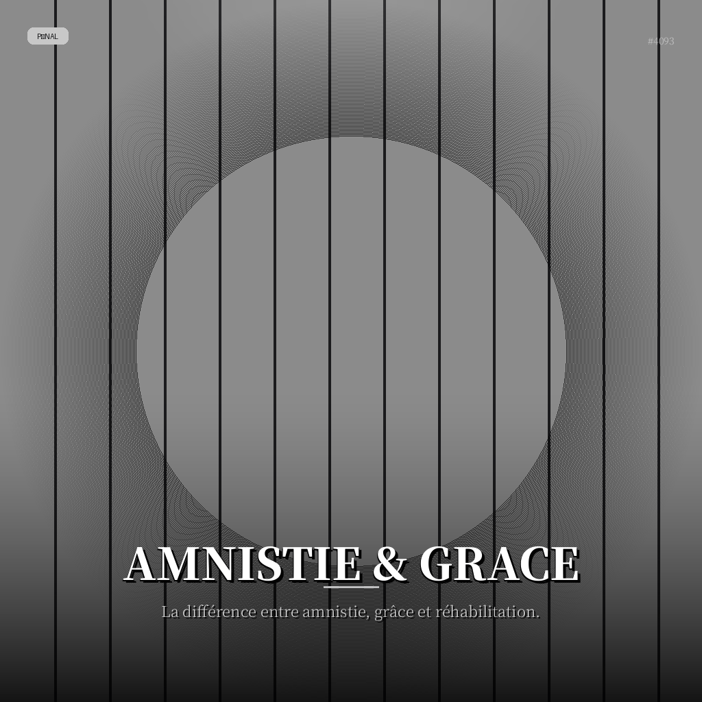 Amnistie & Grace