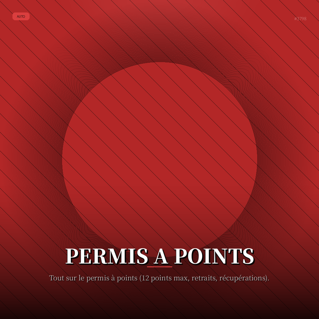 Permis a Points