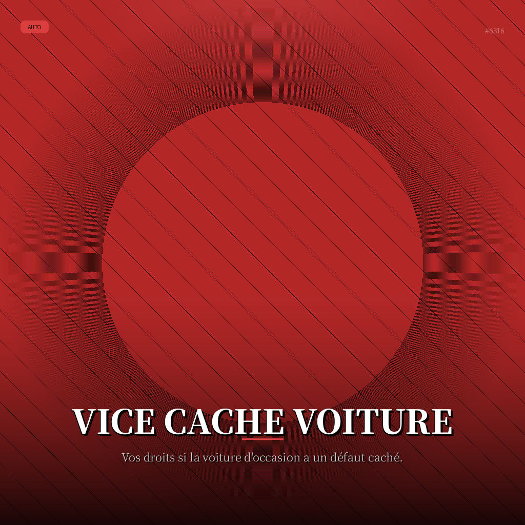 Vice Cache Voiture